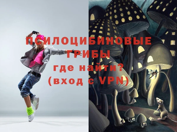 МДПВ Аркадак