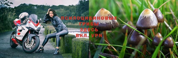 не бодяженный Арсеньев