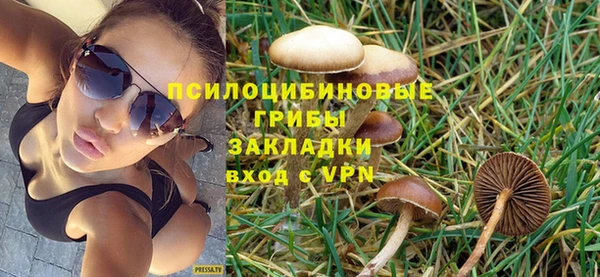 МДПВ Аркадак
